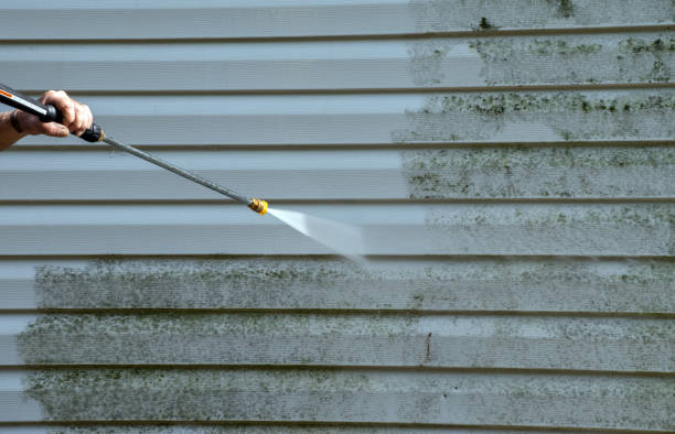 Best Deck Cleaning Services  in Rigby, ID